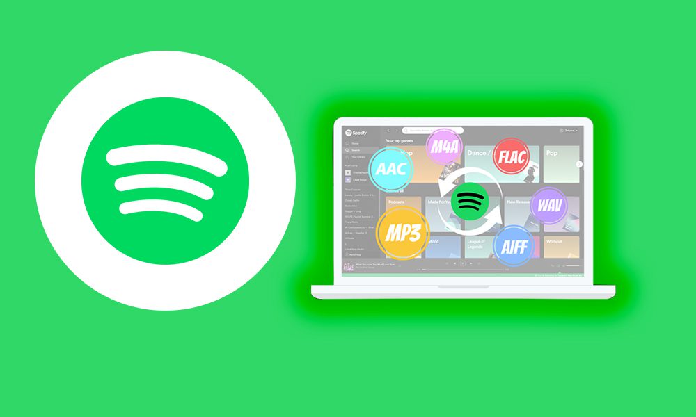 Download Pazu Spotify Music Converter Full Version