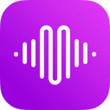 Sound icon in purple square button. Symbolizing KeepStreams Crack.