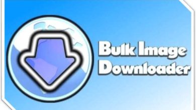 Version 1: A screenshot of Bulk Image Downloader v1.0.0.1 interface.